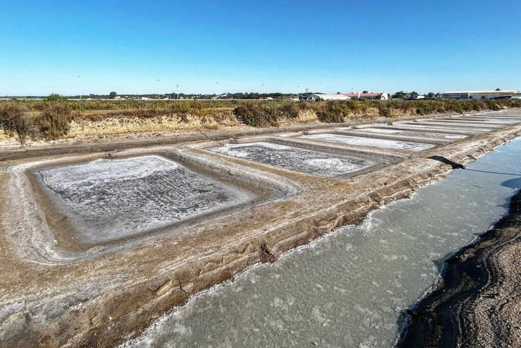 Salinas del Alemán